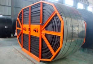 principal